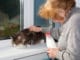 alte Frau gibt einer Katze Milch
