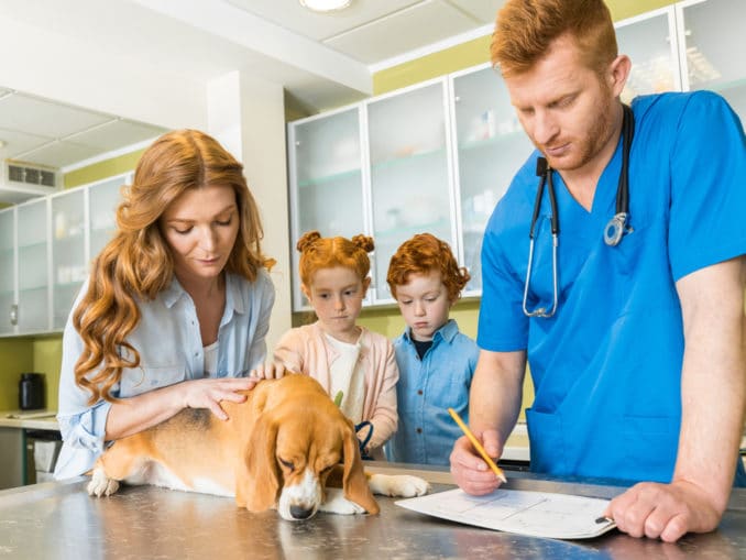 Der eigene Hund auf dem TShirt Unsere Haustiere