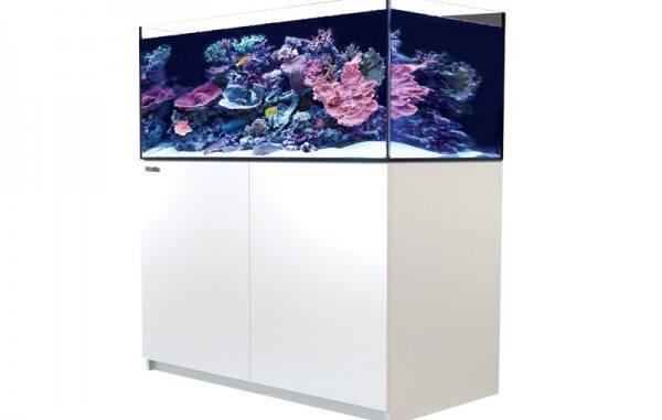 1089-1-red-sea-reefer-xl-425-meerwass.jpg