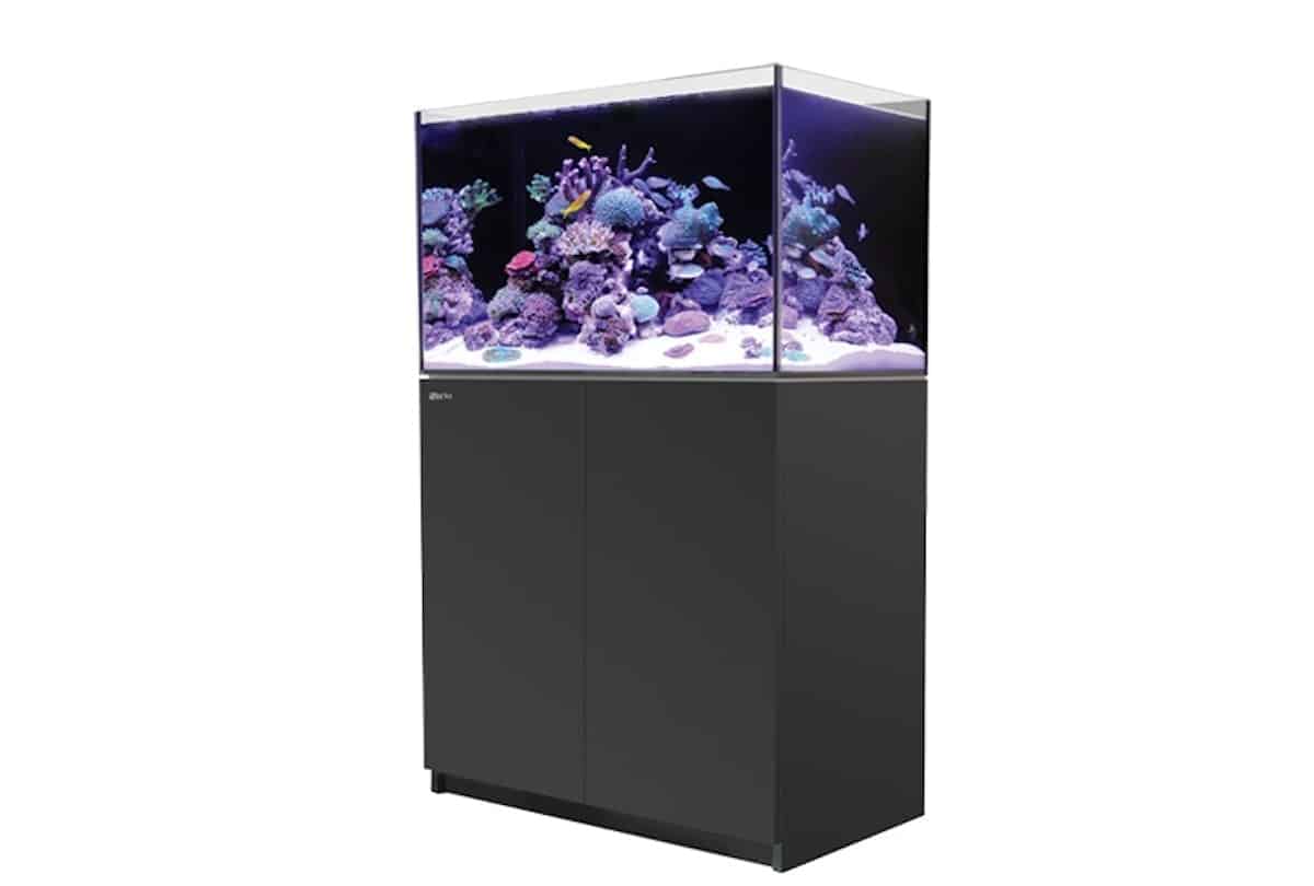 1092-1-red-sea-reefer-250-meerwasser.jpg
