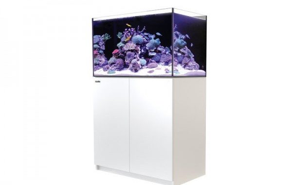 1094-1-red-sea-reefer-250-meerwasser.jpg