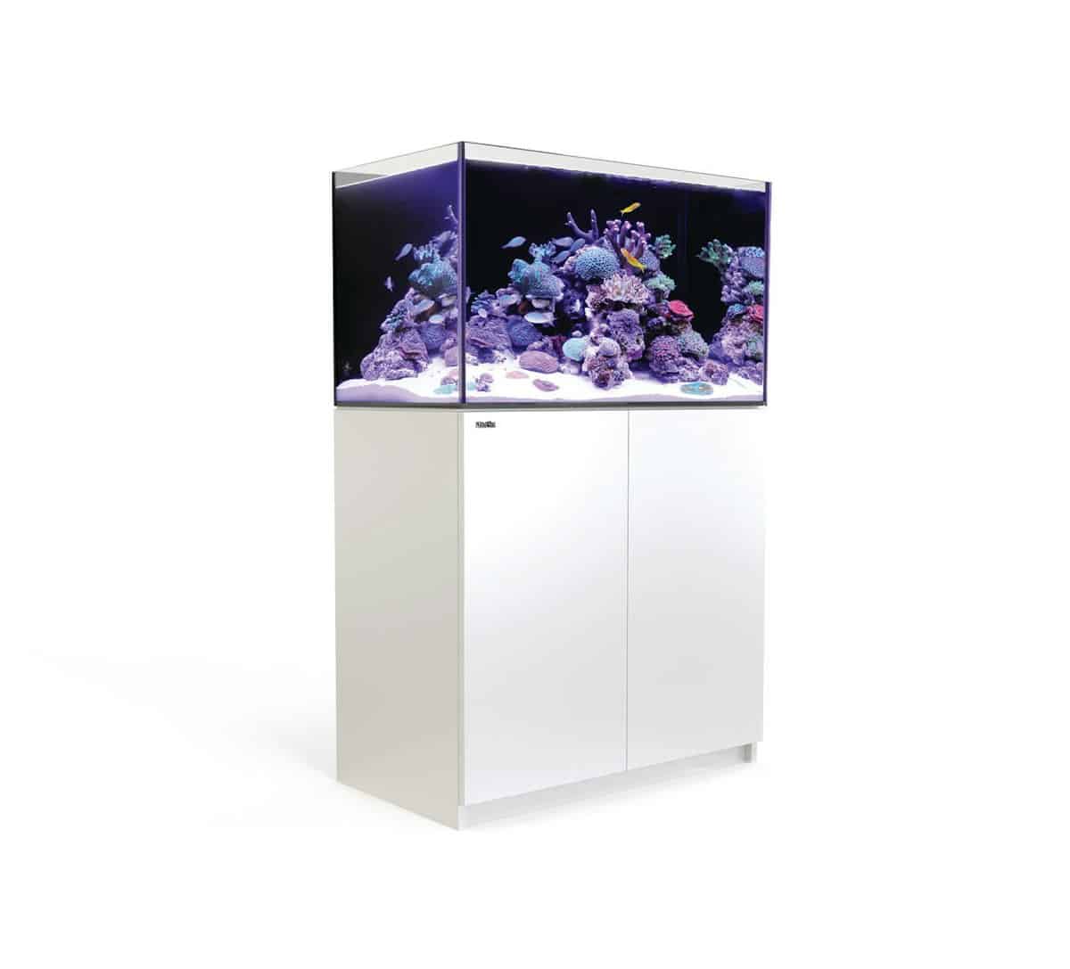 1094-1-red-sea-reefer-250-meerwasser.jpg