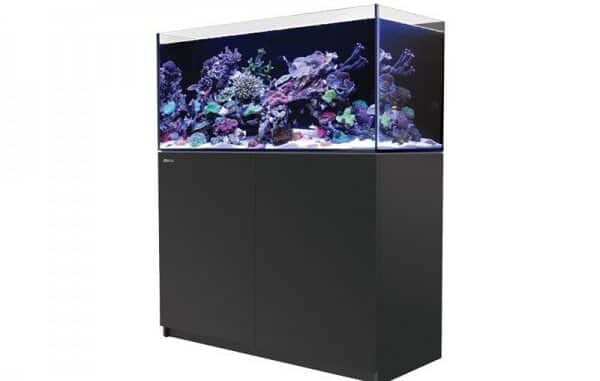 1095-1-red-sea-reefer-350-meerwasser.jpg