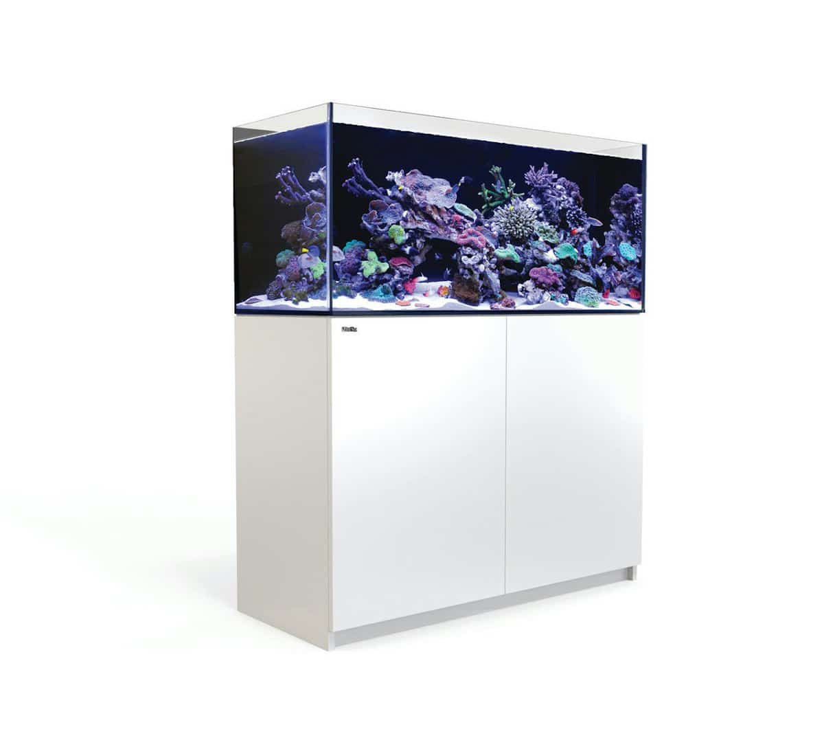 1095-1-red-sea-reefer-350-meerwasser.jpg