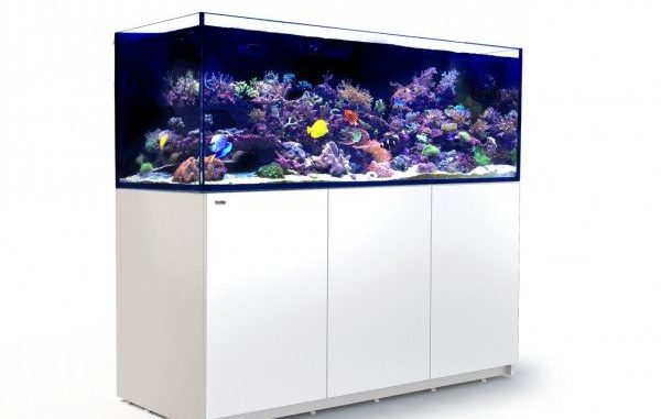 1096-1-red-sea-reefer-xxl-750-complet.jpg