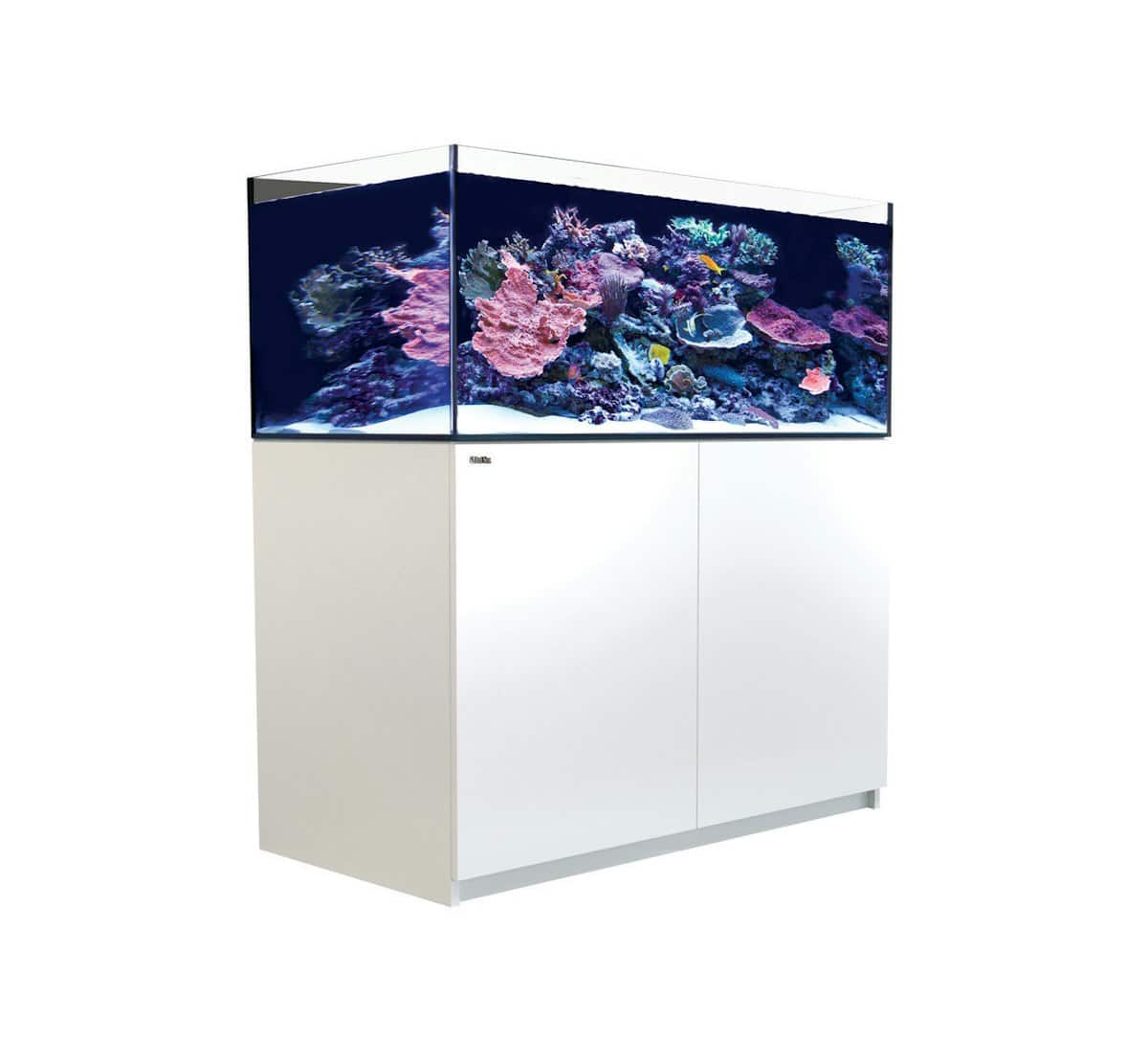 1098-1-red-sea-reefer-xl-425-meerwass.jpg