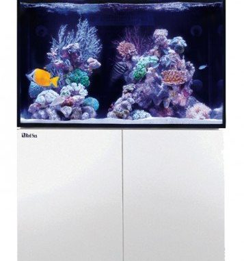 1100-1-red-sea-max-e-260-led-aquarium.jpg