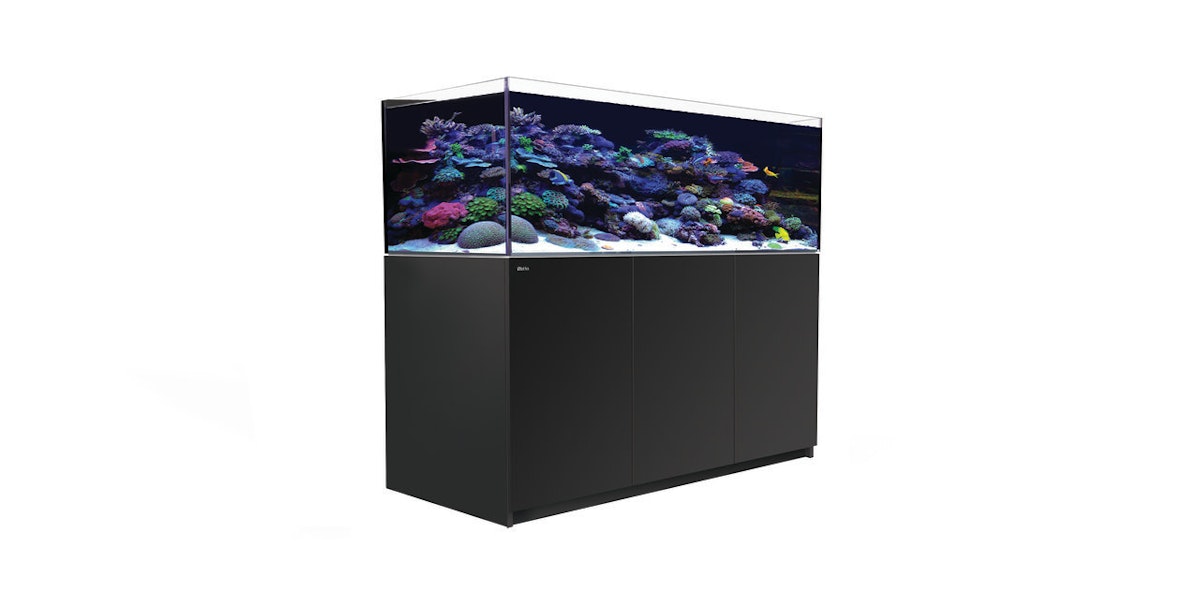 1105-1-red-sea-reefer-xl-525-meerwass.jpg