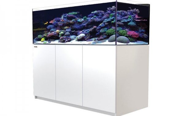 1106-1-red-sea-reefer-xl-525-meerwass.jpg