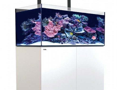 1117-1-red-sea-reefer-deluxe-425-comp.jpg