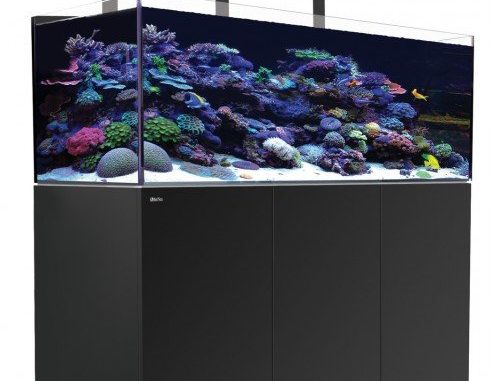 1120-1-red-sea-reefer-deluxe-xl-525-c.jpg
