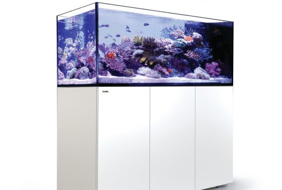 1127-1-red-sea-peninsula-p650-deluxe.jpg