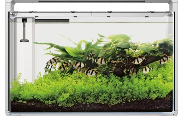 1130-1-superfish-home-65-aquarium-set.jpg