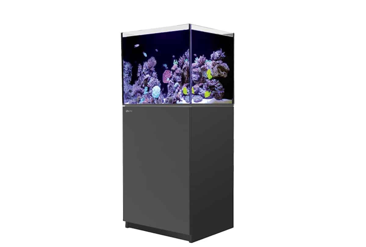 1131-1-red-sea-reefer-170-meerwasser.jpg