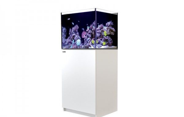 1132-1-red-sea-reefer-170-meerwasser.jpg