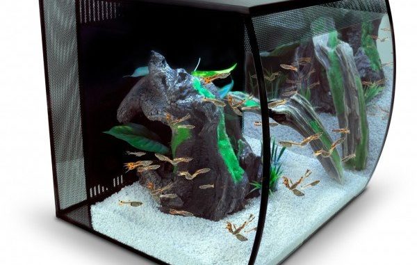 1435-1-fluval-flex-nano-aquarium-set.jpg