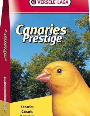 981-1-versele-laga-kanarien-zucht-oh.jpg