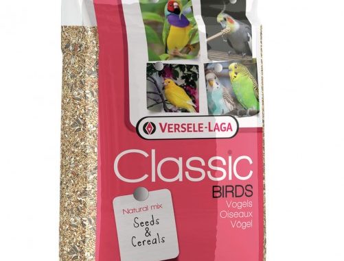 985-1-versele-laga-grosssittiche-cla.jpg