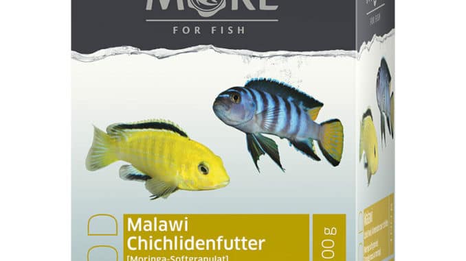 1806-1-for-fish-malawi-cichlidenfutte.jpg